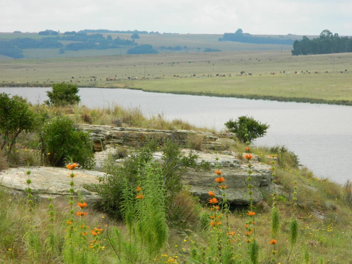 La Vista Farm Stay Ermelo Buitenkant foto