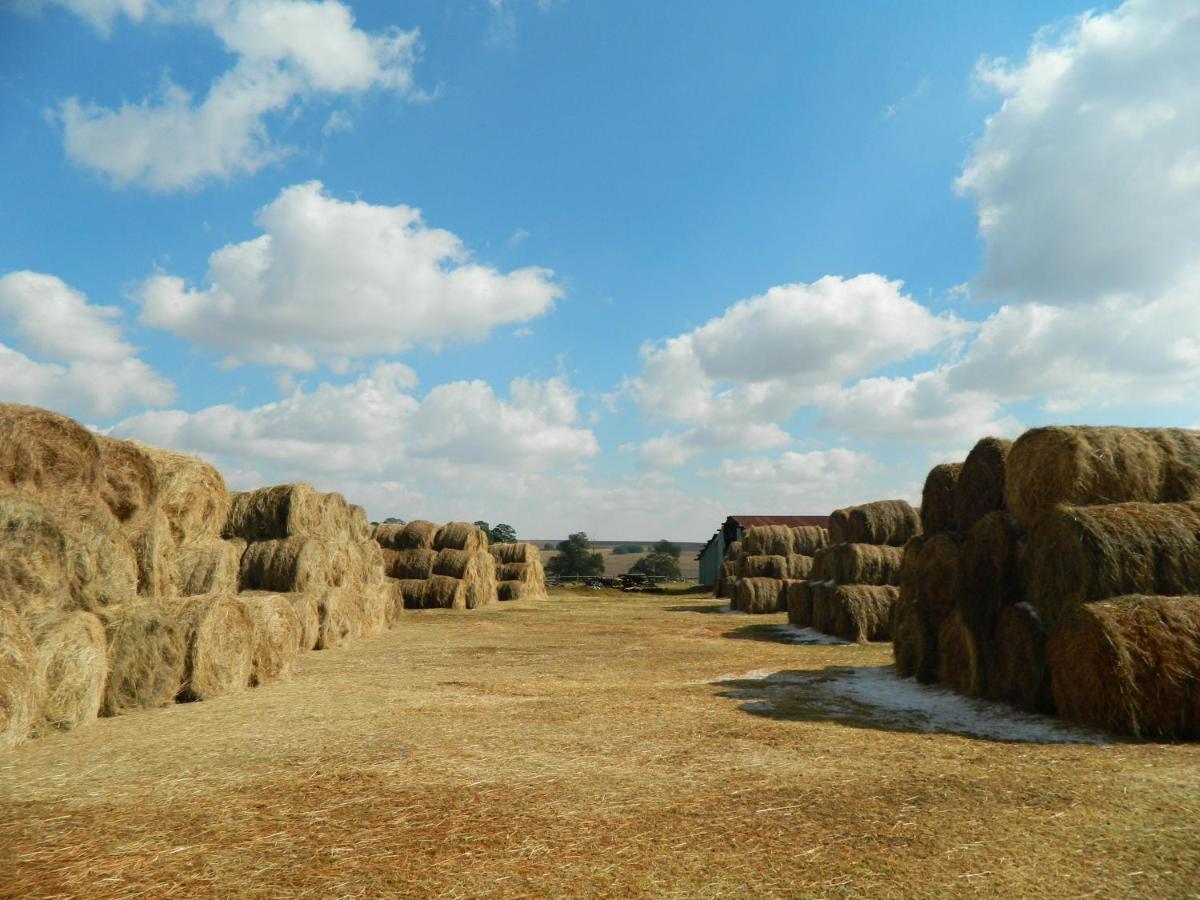 La Vista Farm Stay Ermelo Buitenkant foto
