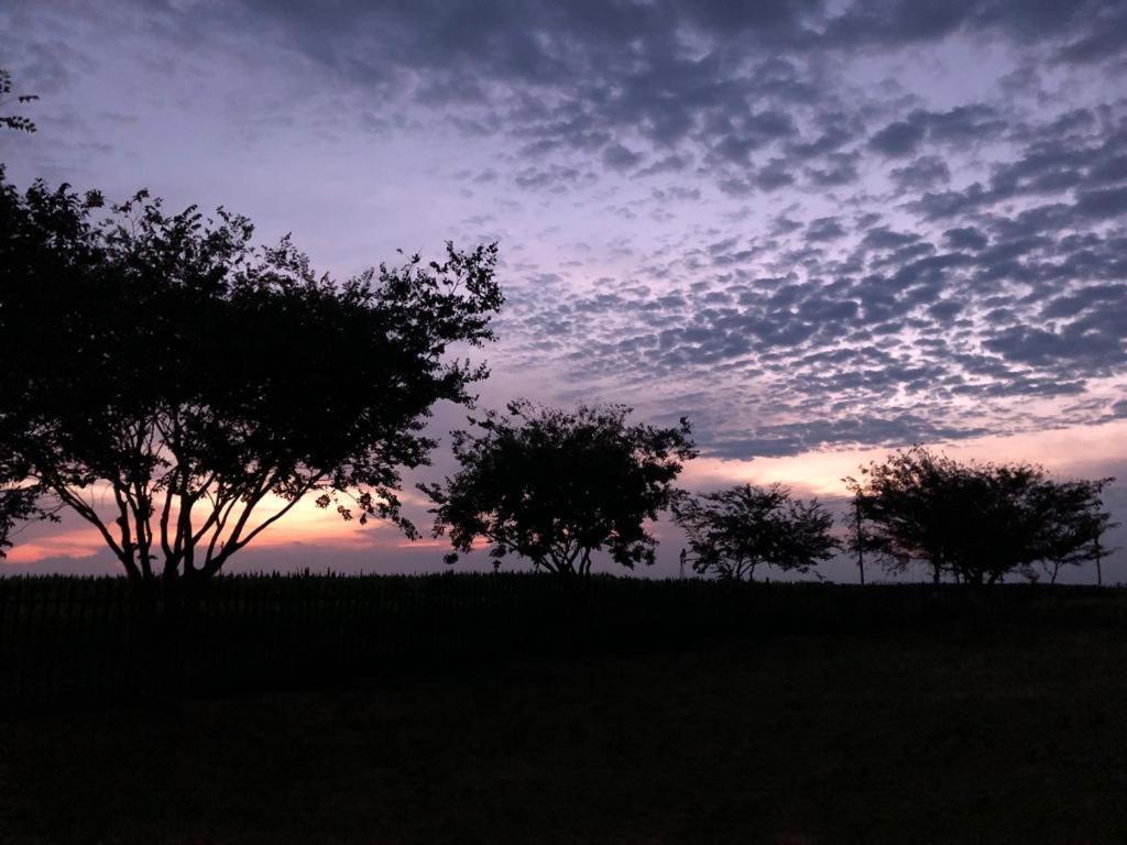 La Vista Farm Stay Ermelo Buitenkant foto