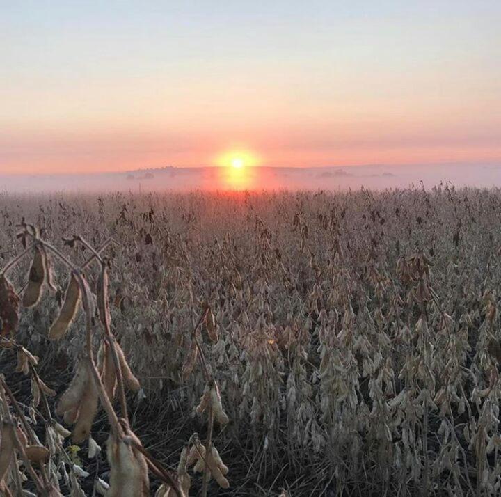 La Vista Farm Stay Ermelo Buitenkant foto