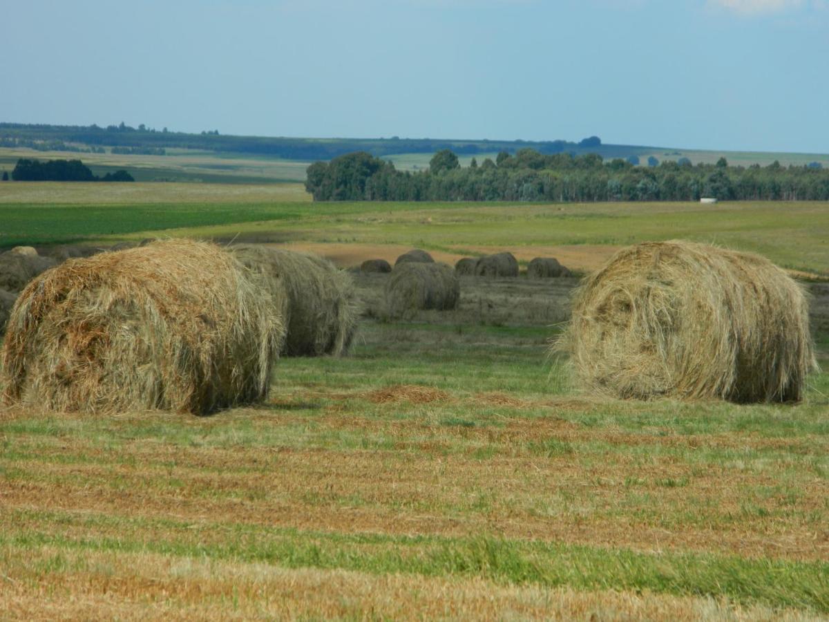 La Vista Farm Stay Ermelo Buitenkant foto