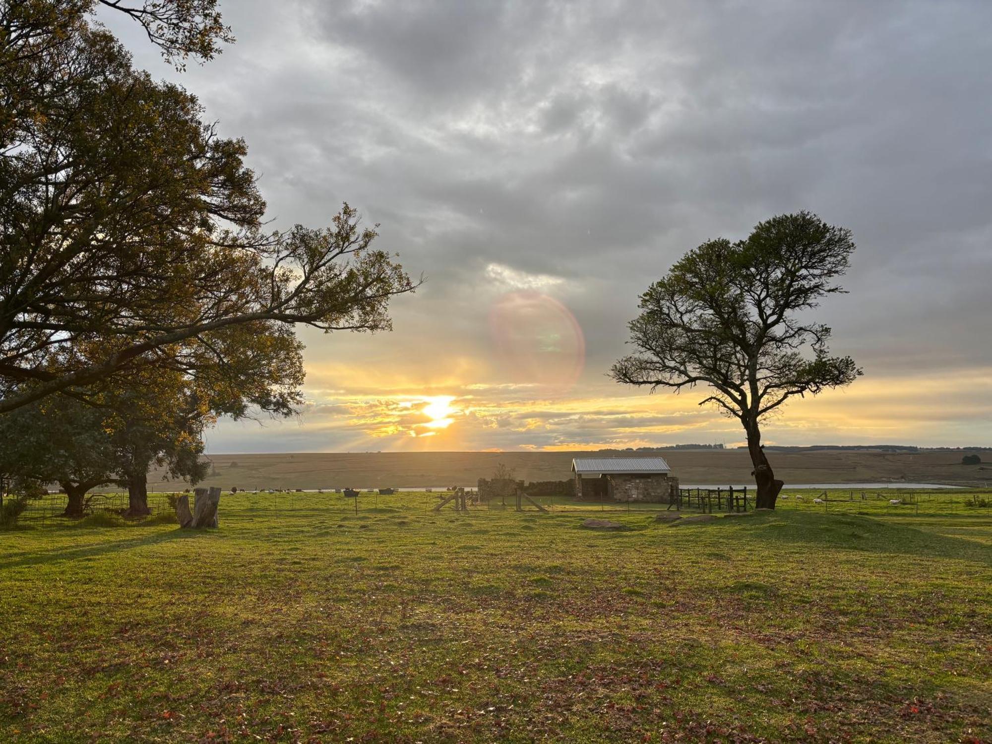 La Vista Farm Stay Ermelo Buitenkant foto